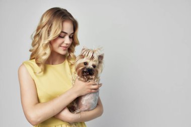 Kadın modaya uygun safkan köpek kırpılmış manzara modası
