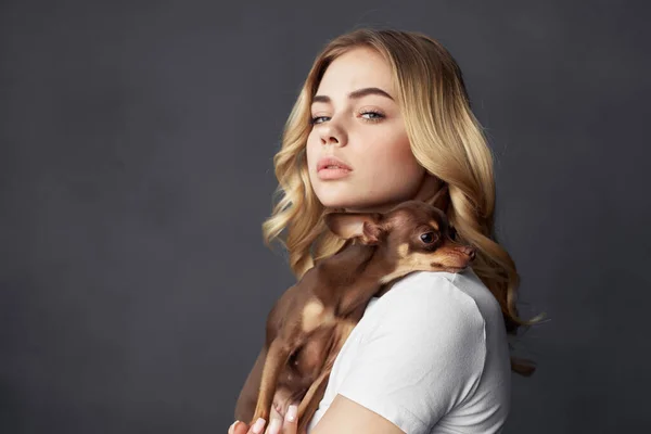 Mooie vrouw met een kleine hond make-up poseren donkere achtergrond — Stockfoto