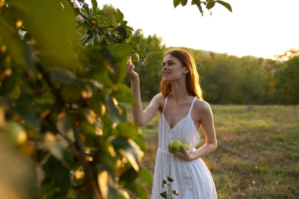Mujer en vestido blanco en la naturaleza cerca de los frutos del manzano — Foto de Stock
