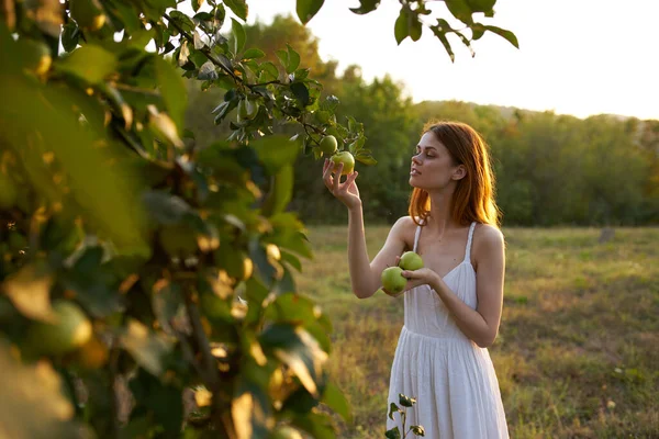 Vacker kvinna på fältet natur äpplen sommar — Stockfoto