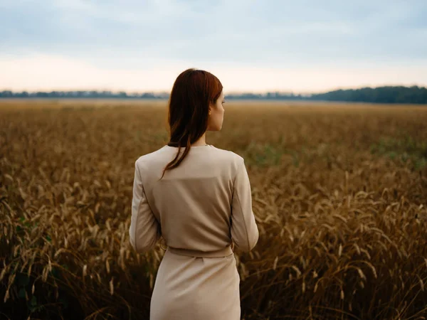 Mulher de vestido andar paisagem de trigo ar fresco — Fotografia de Stock