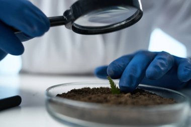 kadın doktor araştırma biyolojisi ekoloji deneyi stüdyosu