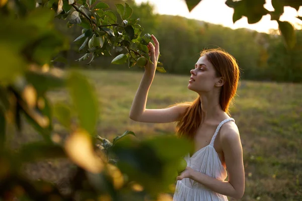 Rödhårig Kvinna Ett Fält Plockar Äpplen Natur Frukt Högkvalitativt Foto — Stockfoto