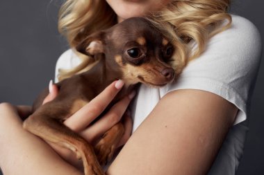 Güzel kadın küçük bir köpek eğlencesi Stüdyo manzarası