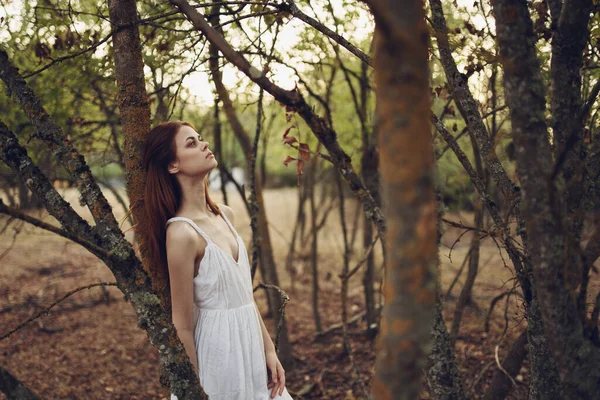 Jolie Femme Robe Blanche Appuyée Contre Arbre — Photo