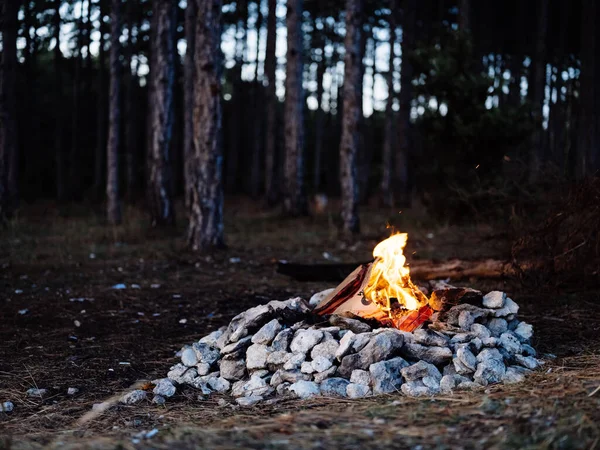 숲의 저녁 휴게소 근처 자연계에서 발생하는 불 — 스톡 사진