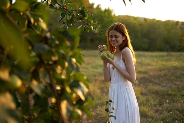 Bella donna in abito bianco natura frutta stile di vita mele — Foto Stock