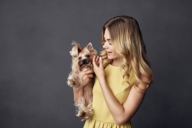 Güzel bir kadın. Küçük bir köpek evcil hayvanı. İzole edilmiş bir arka plan.