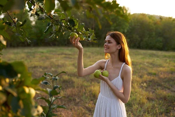 Donna in abito bianco sulla natura mele frutta stile di vita — Foto Stock