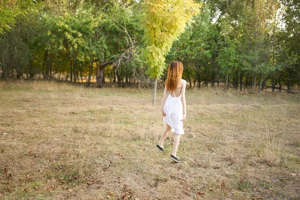 Bella donna a piedi nella foresta vicino agli alberi in estate — Foto Stock