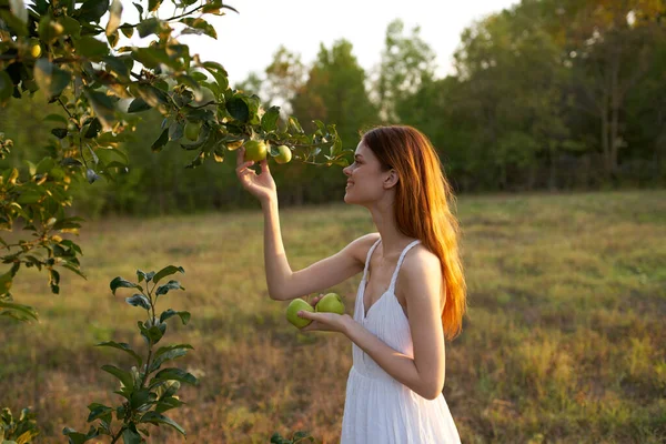 Mujer Vestida Blanco Aire Libre Cerca Del Manzano Foto Alta —  Fotos de Stock