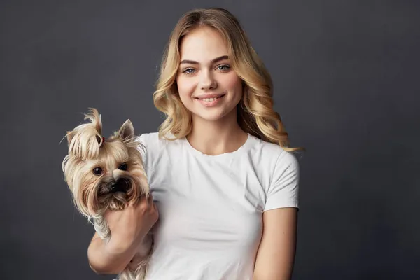 blonde pedigree dog fashion Lifestyle isolated background
