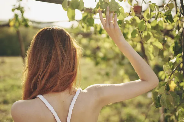 Vrouw buiten in de buurt van planten druiven reizen zon — Stockfoto