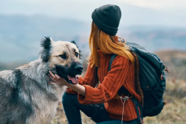 Vrouw reist in de bergen met een hond vriendschap — Stockfoto