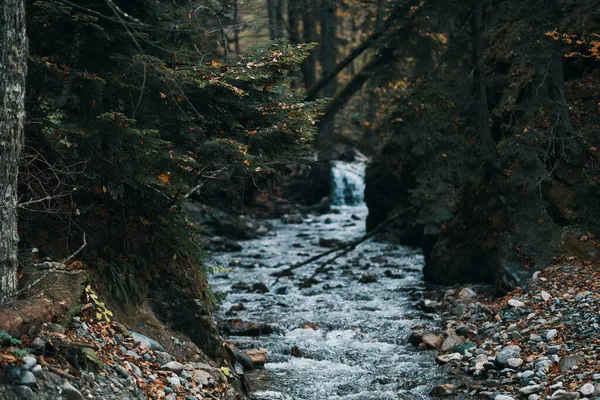 Natuur bergen bos rivier landschap reizen — Stockfoto