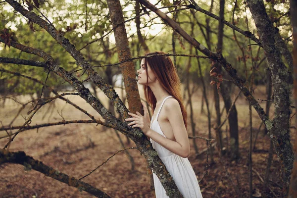 Ormandaki ağaçların arasında düşmüş beyaz elbiseli kızıl saçlı kadın. — Stok fotoğraf