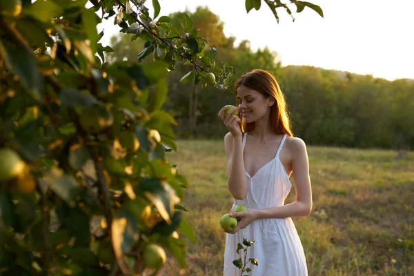 Mujer bonita en el campo naturaleza manzanas verano — Foto de Stock