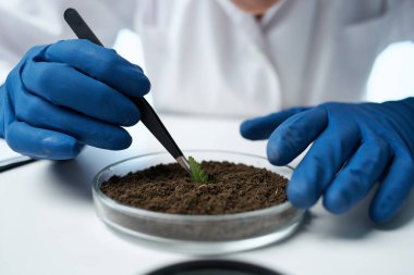 kadın doktor araştırma biyolojisi ekoloji deneyi stüdyosu
