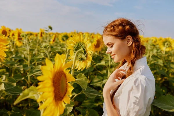 Женщина с двумя косичками смотрит на подсолнечное поле — стоковое фото