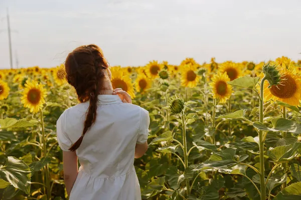 Женщина с косичками в поле с цветущими подсолнухами без изменений — стоковое фото