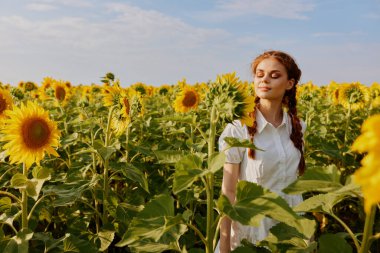 İki örgülü kadın ayçiçeği tarlasına bakıyor. Çiçek açan bitkiler.