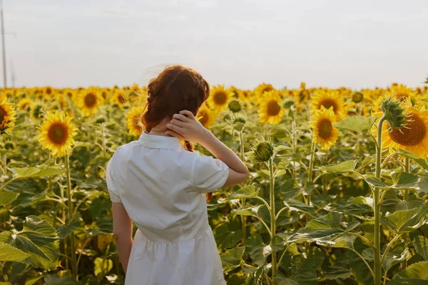 Женщина с двумя косичками в поле с цветущими подсолнухами — стоковое фото