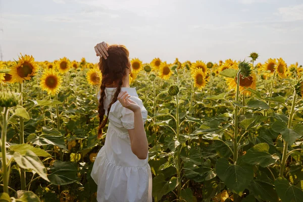 Женщина с двумя косичками, смотрящая на подсолнечное поле, цветущие растения — стоковое фото