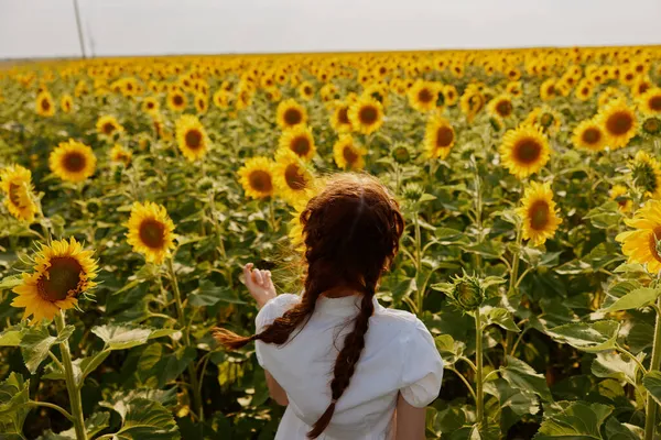 Жінка з кісками, дивлячись на соняшникове поле в сільській місцевості — стокове фото