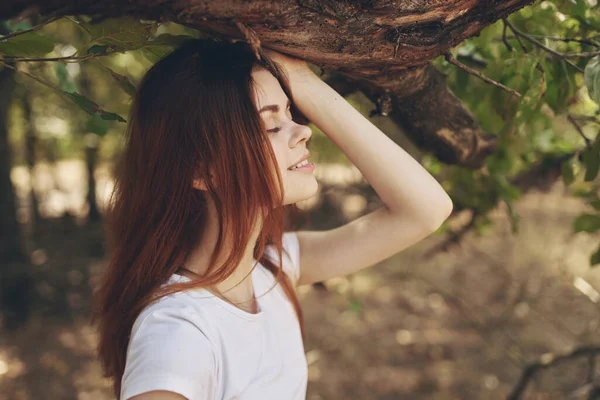 Donna Seduta Vicino Albero Foto Alta Qualità — Foto Stock