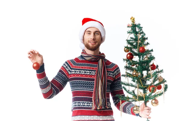Emotional man with a tree in his hands ornaments holiday fun isolated background — Stock Photo, Image