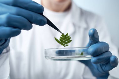 Masa mikroskobunda oturan laboratuvar asistanı biyoteknoloji araştırma ışık arka planı
