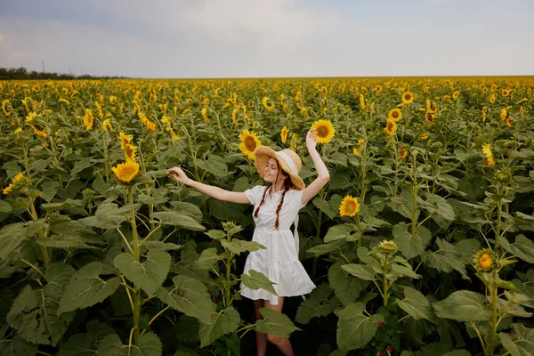 At kuyruklu kadın yaz zamanı ayçiçeği tarlasına bakıyor.