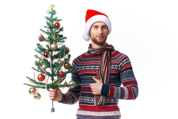 Hombre alegre con un árbol en sus manos adornos vacaciones divertido fondo aislado —  Fotos de Stock