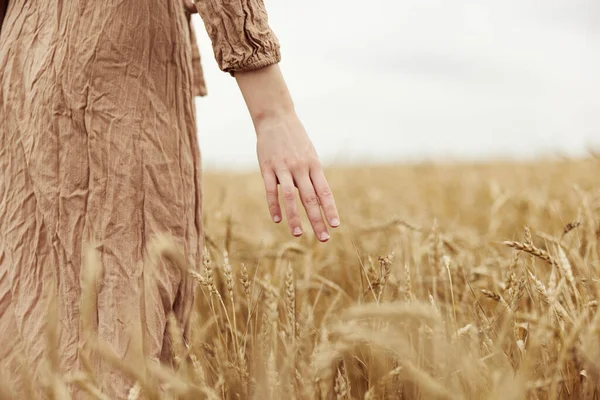 Mão o agricultor em causa o amadurecimento de espigas de trigo no início do verão dia ensolarado — Fotografia de Stock