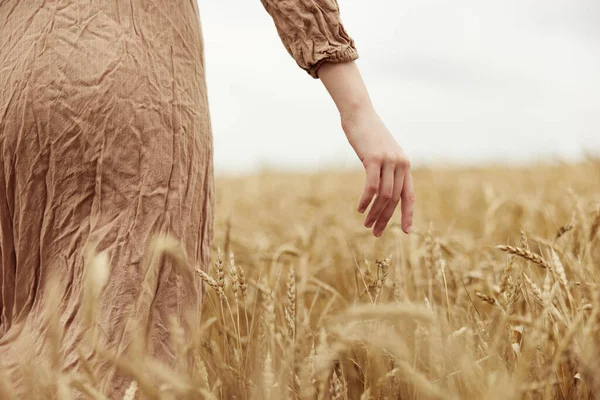 Mão feminina indústria rural cultivo campo sem fim — Fotografia de Stock