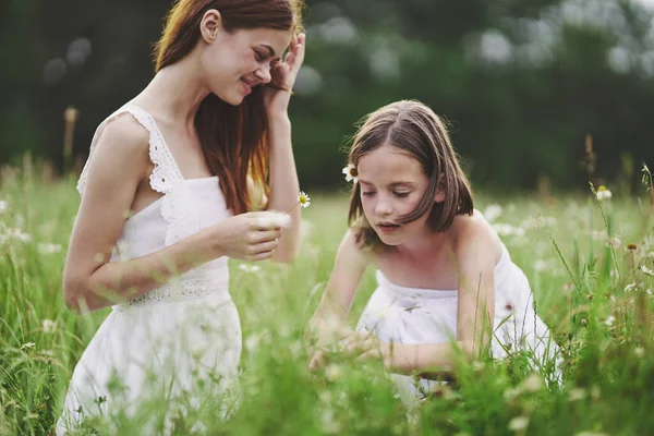 Anne ve kızı tarlada çiçek topluyor.