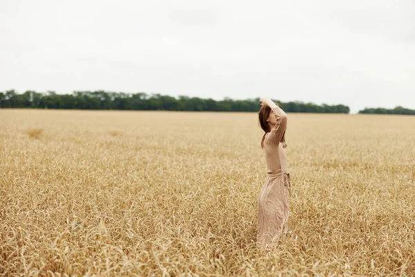 Mulher bonita o agricultor em causa o amadurecimento de espigas de trigo no início da colheita de verão — Fotografia de Stock