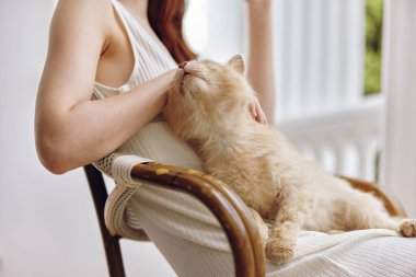 Terasta kedili bir hayvanla oturan güzel bir kadın.