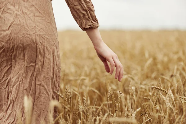 Vrouw handen spikeletten van tarwe oogsten biologische zonnige dag — Stockfoto