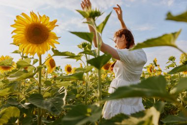 Kırsalda ayçiçeği tarlasında iki at kuyruklu bir kadın.