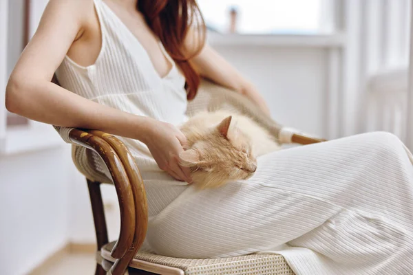 Güzel bayan hostes, evcil hayvanıyla birlikte terasta dinleniyor.