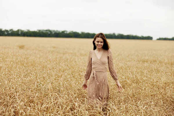 Kadın eli buğday tarlası sonbahar mevsimi konsepti — Stok fotoğraf