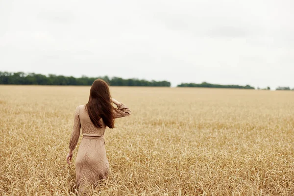 Female hand spikelets of wheat harvesting organic autumn season concept — Fotografia de Stock