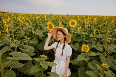 Beyaz elbiseli güzel bir kız Ayçiçeği tarlasında yürüyor