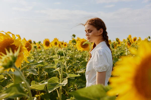 Женщина с косичками в поле с цветущими подсолнухами — стоковое фото