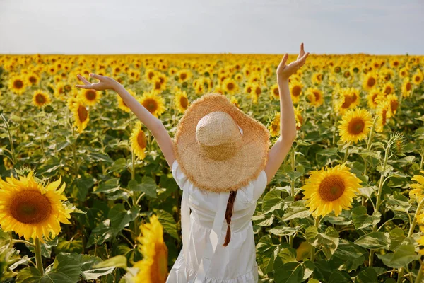 Woman in hat with raised hands field of sunflowers nature summer — Foto Stock