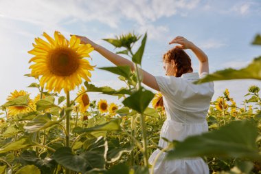 Ayçiçeği tarlasında at kuyruklu bir kadın. Yüksek kalite fotoğraf