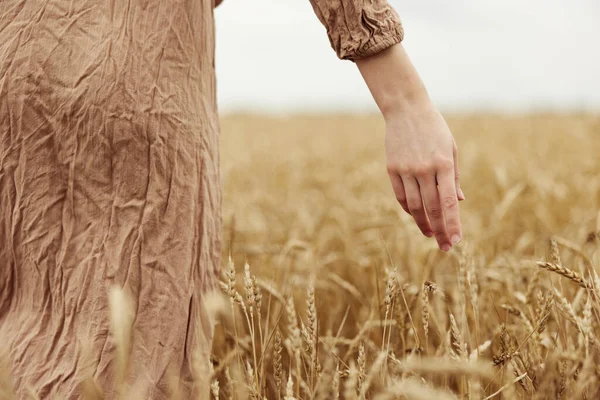 Tocando espiguetas de campo de trigo dourado de colheita de trigo campo infinito orgânico — Fotografia de Stock