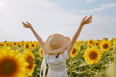 Ayçiçeği tarlasında elleri havada güzel bir kız. Yüksek kalite fotoğraf