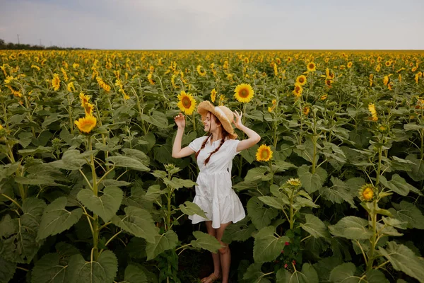 Belle fille douce dans un champ de tournesols style de vie Heure d'été — Photo